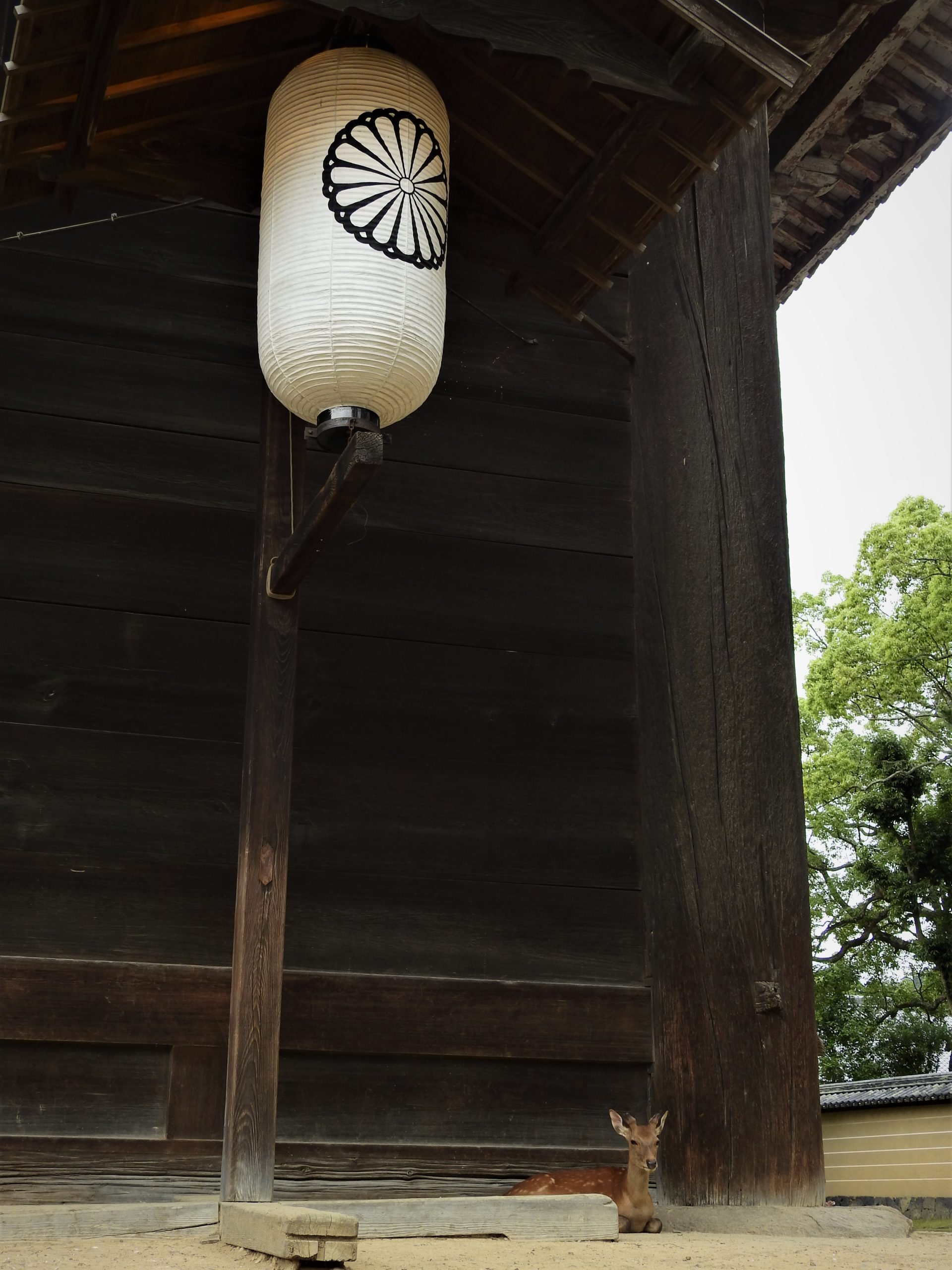 奈良県 東大寺