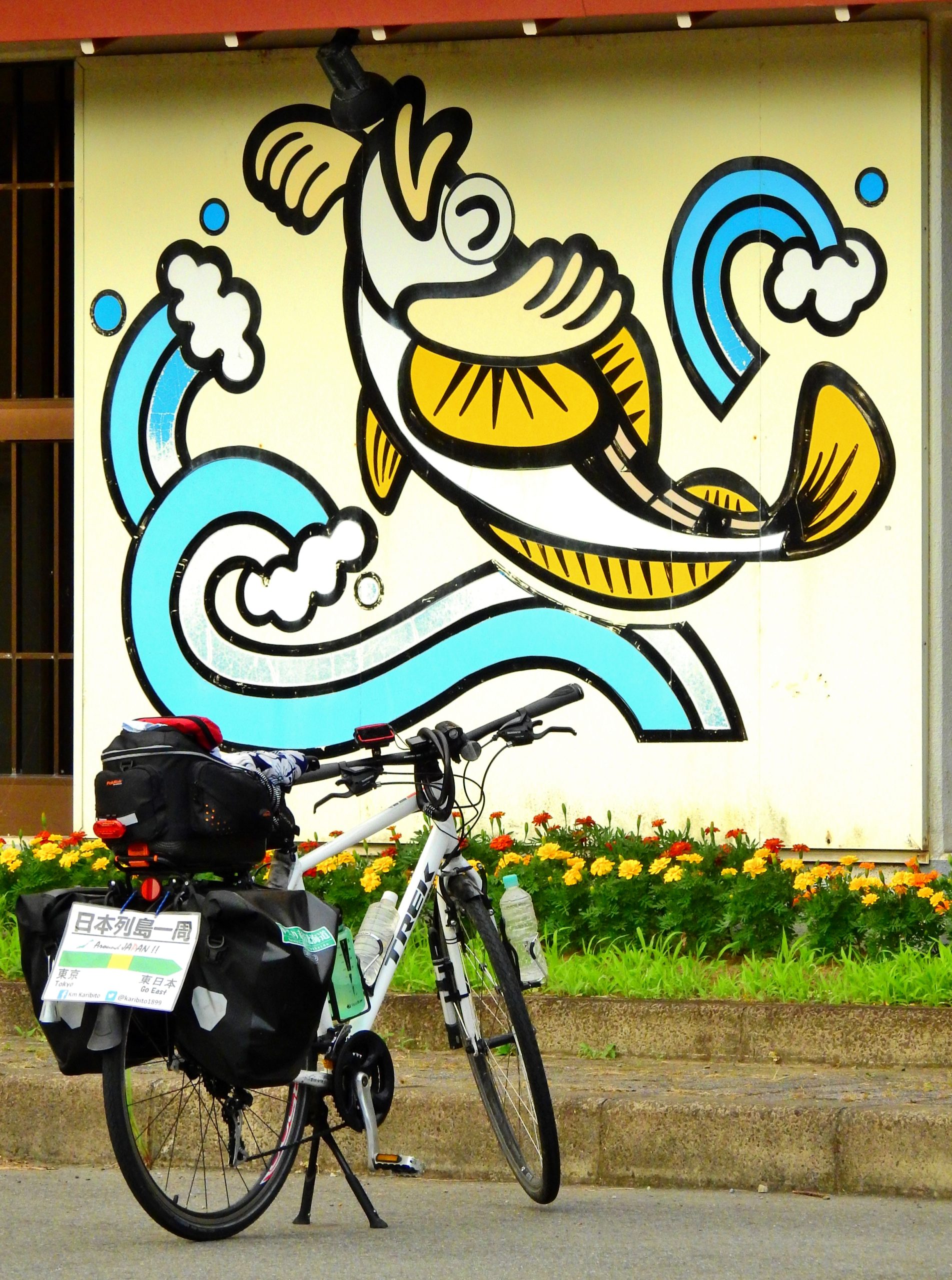 神津島 一周 自転車