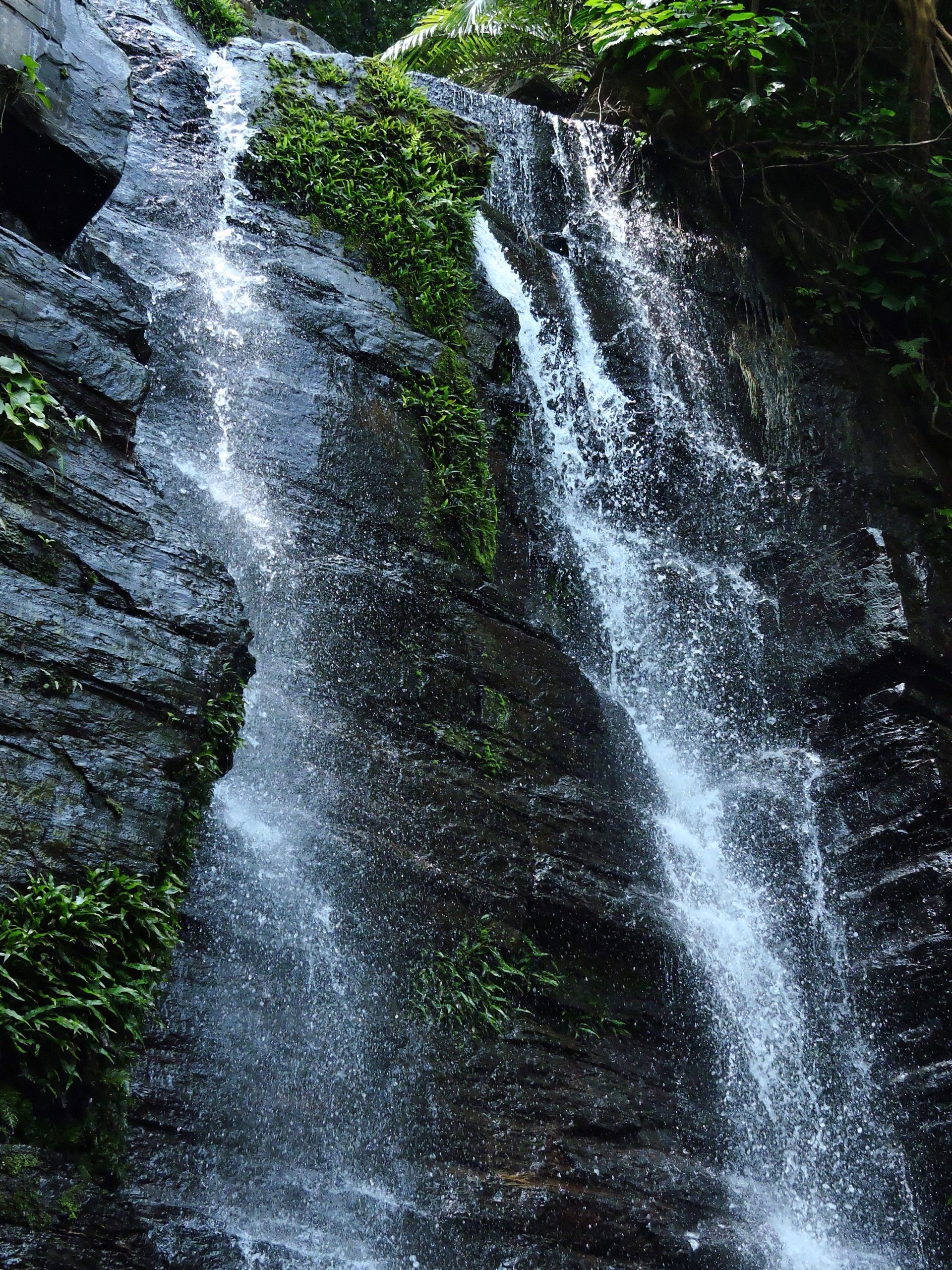沖縄県 西表島 ゲータの滝