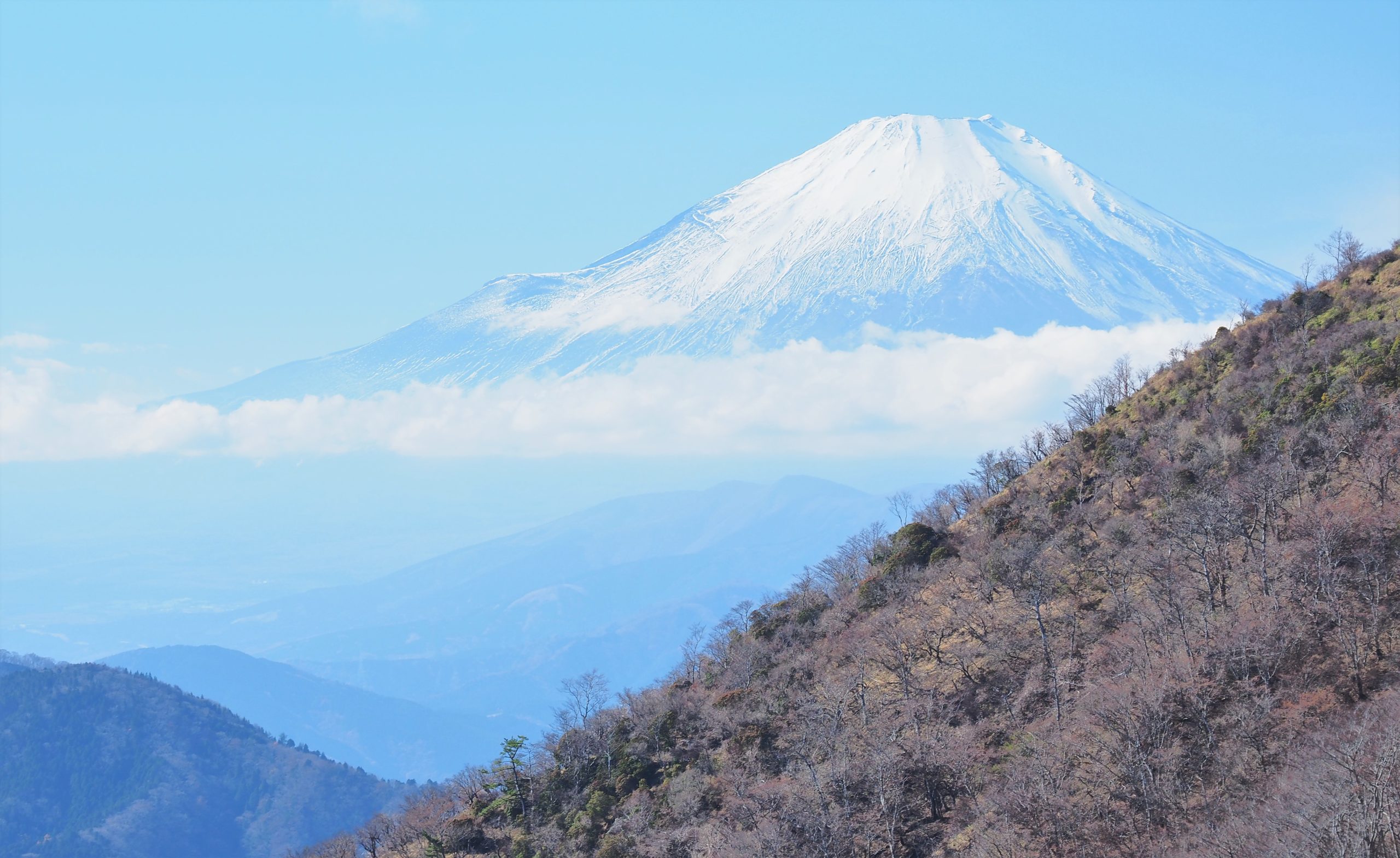 丹沢山地 富士山