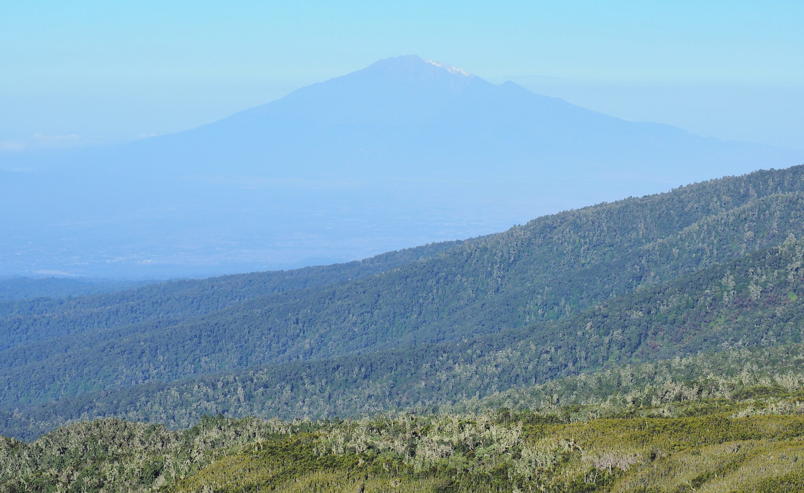 タンザニア キリマンジャロ メル山