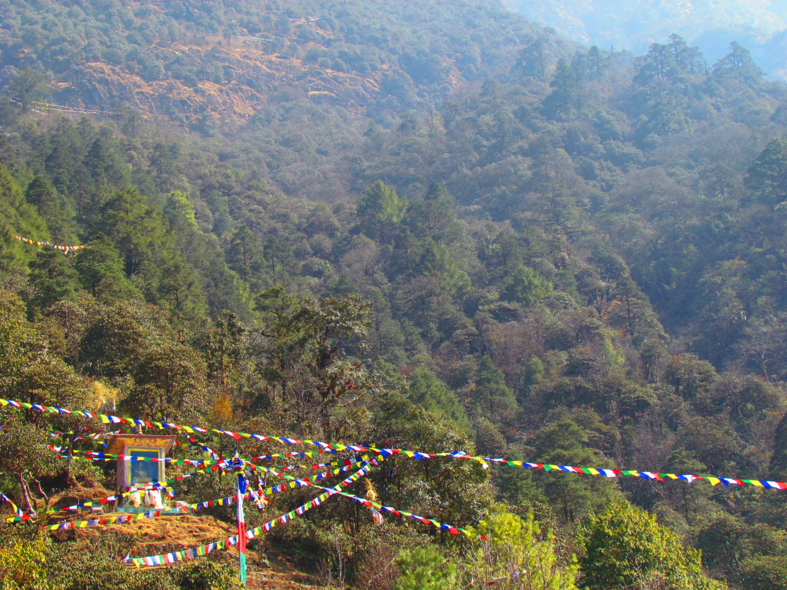 ネパール メラ･ピーク ルクラ