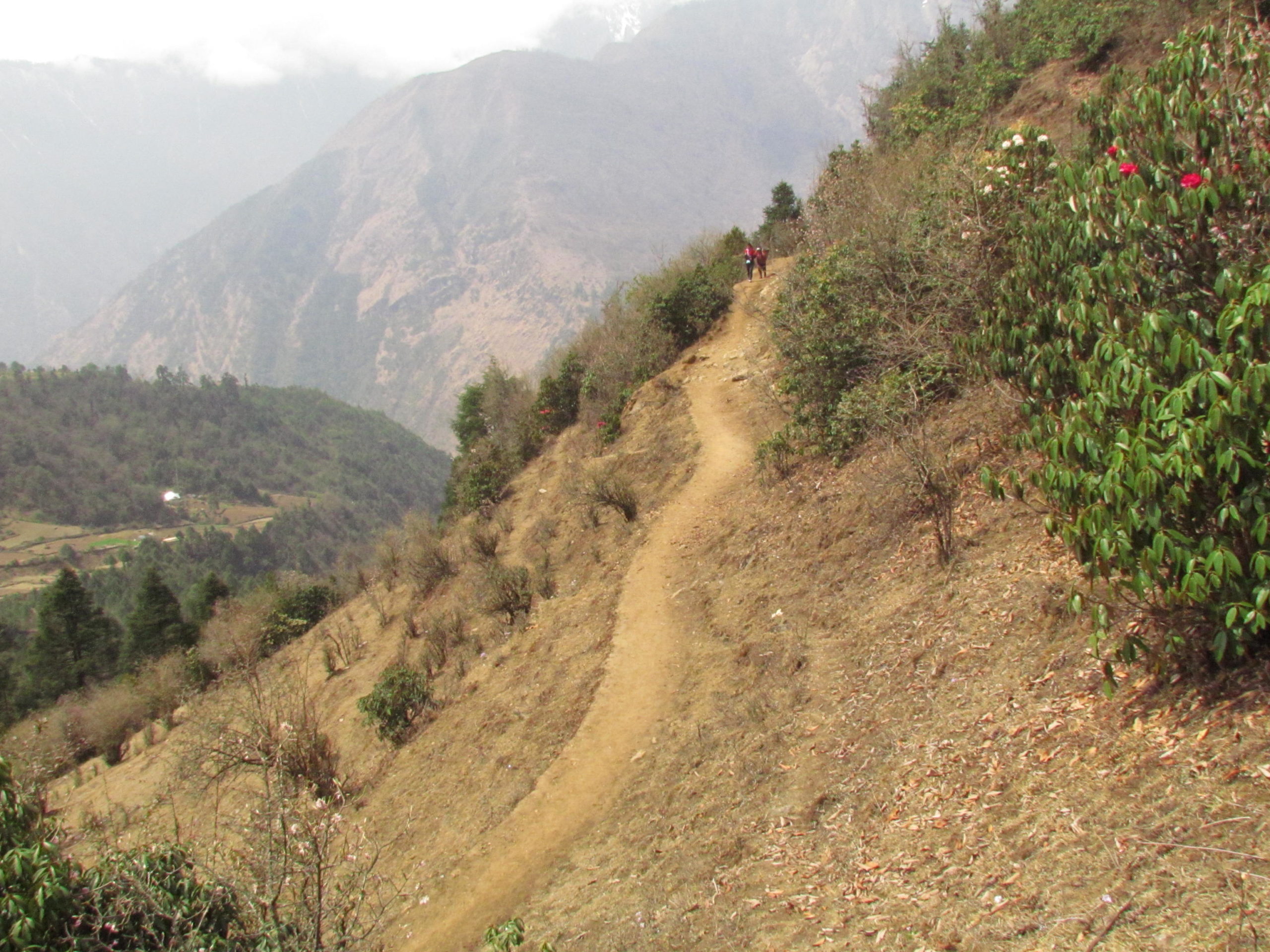 ネパール メラ･ピーク ルクラ周辺
