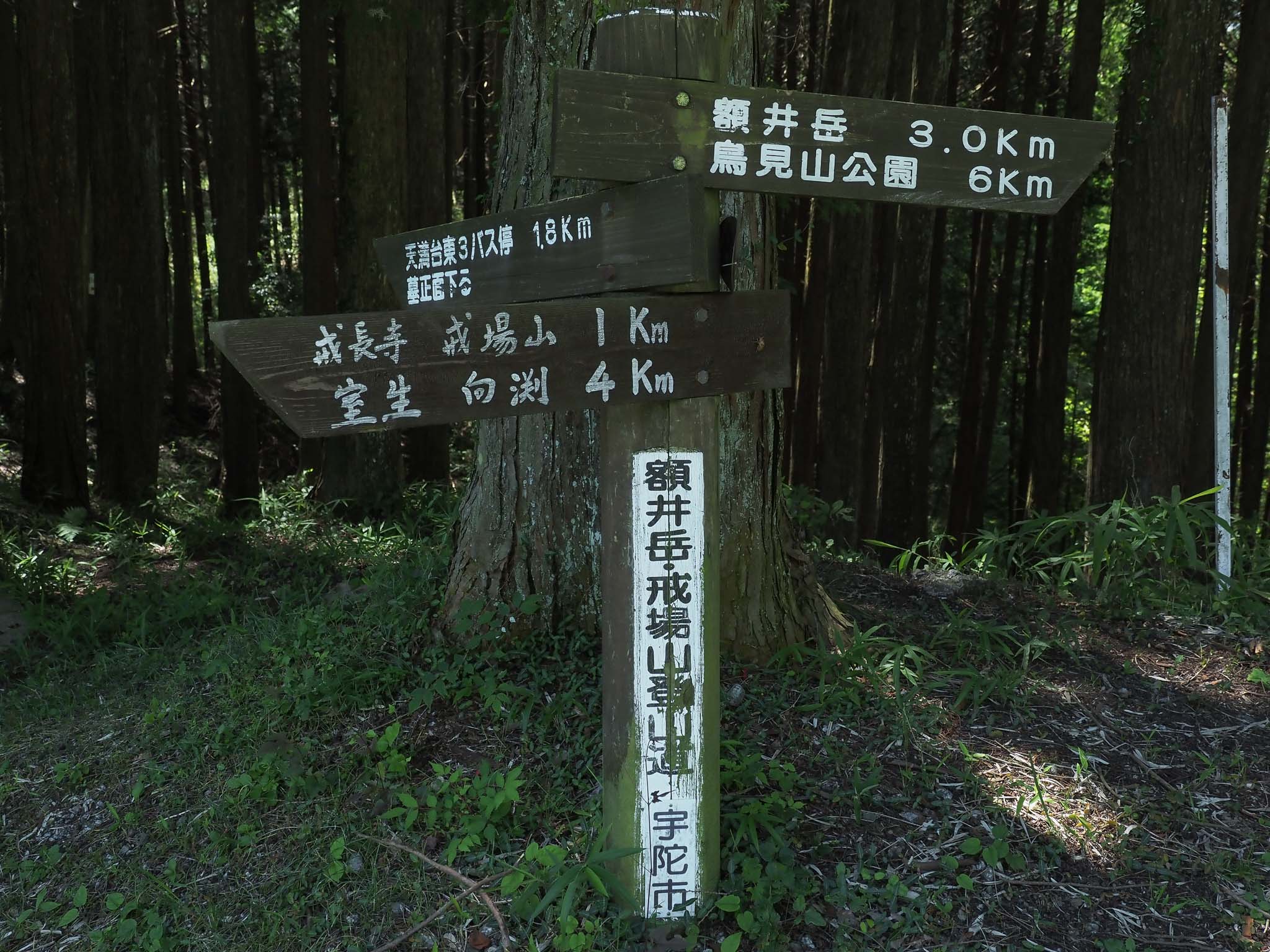 奈良県 山辺赤人の墓