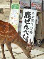 奈良県 東大寺