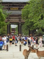 奈良県 東大寺