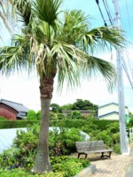 愛知県 田原市