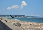 北海道 登別市