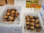 北海道 稚内副港市場