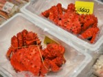 北海道 稚内副港市場
