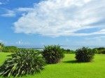 沖縄県 西表島 いるもて荘