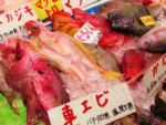 沖縄県 牧志公設市場
