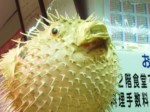 沖縄県 牧志公設市場