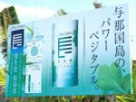 沖縄県 与那国島 長命草