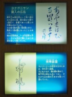 沖縄県 与那国島 アヤミハビル館