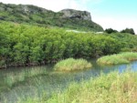 沖縄県 与那国島 田原川