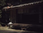 奈良県 白毫寺町