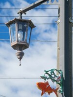 静岡県 東伊豆町 稲取